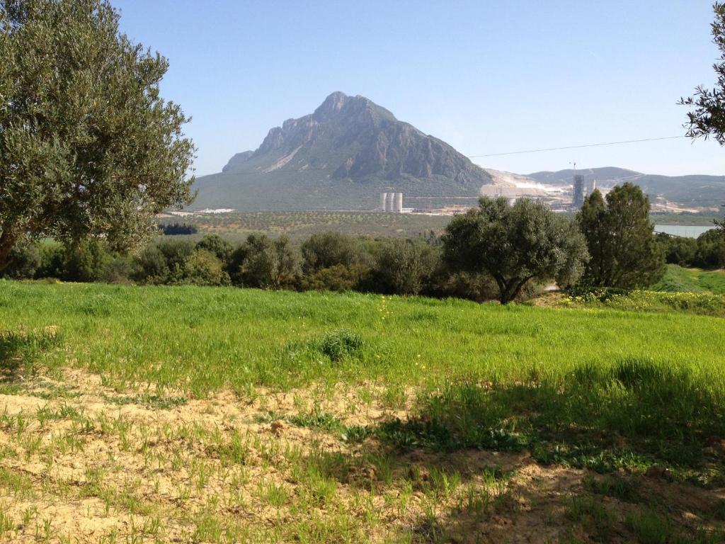 Dar Salima Mornag Exterior foto