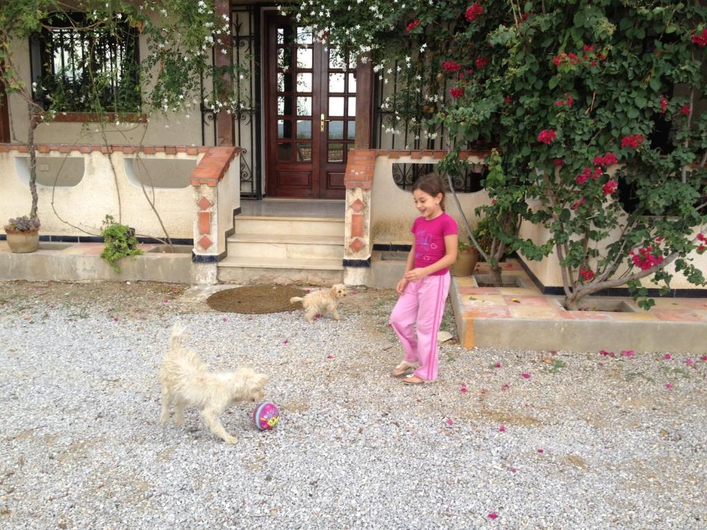 Dar Salima Mornag Exterior foto